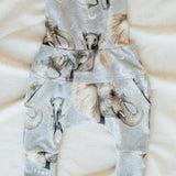 Harem Little Elephant